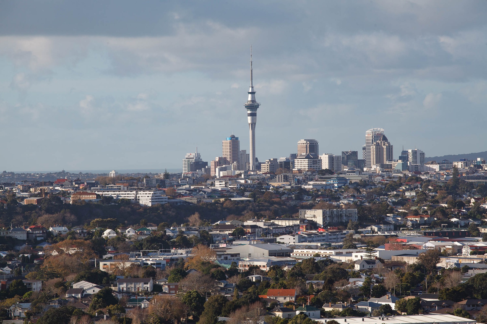 NZ - Auckland. Image by F!!9 - https://pixabay.com/en/users/F119-4928562/